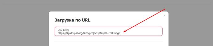 Вставляем ссылку и нажимаем загрузить